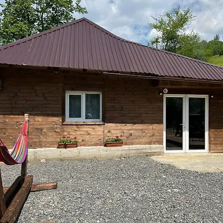Muntelui Case de vacanță Munteni